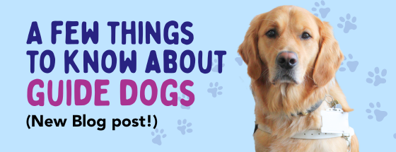 Decorative banner for a few things to know about guide dogs blog post.