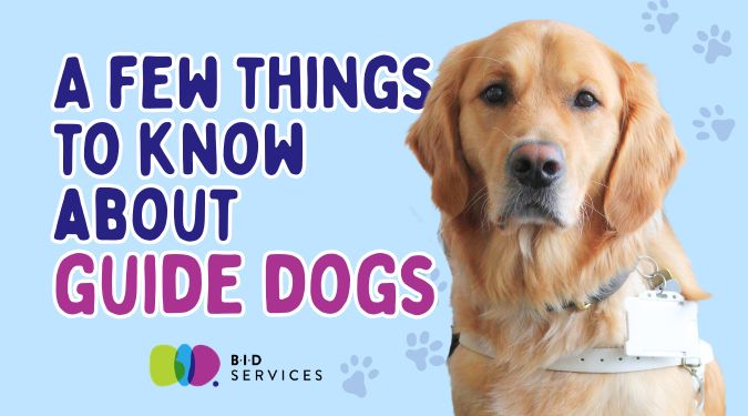 Things to Know About Guide Dogs