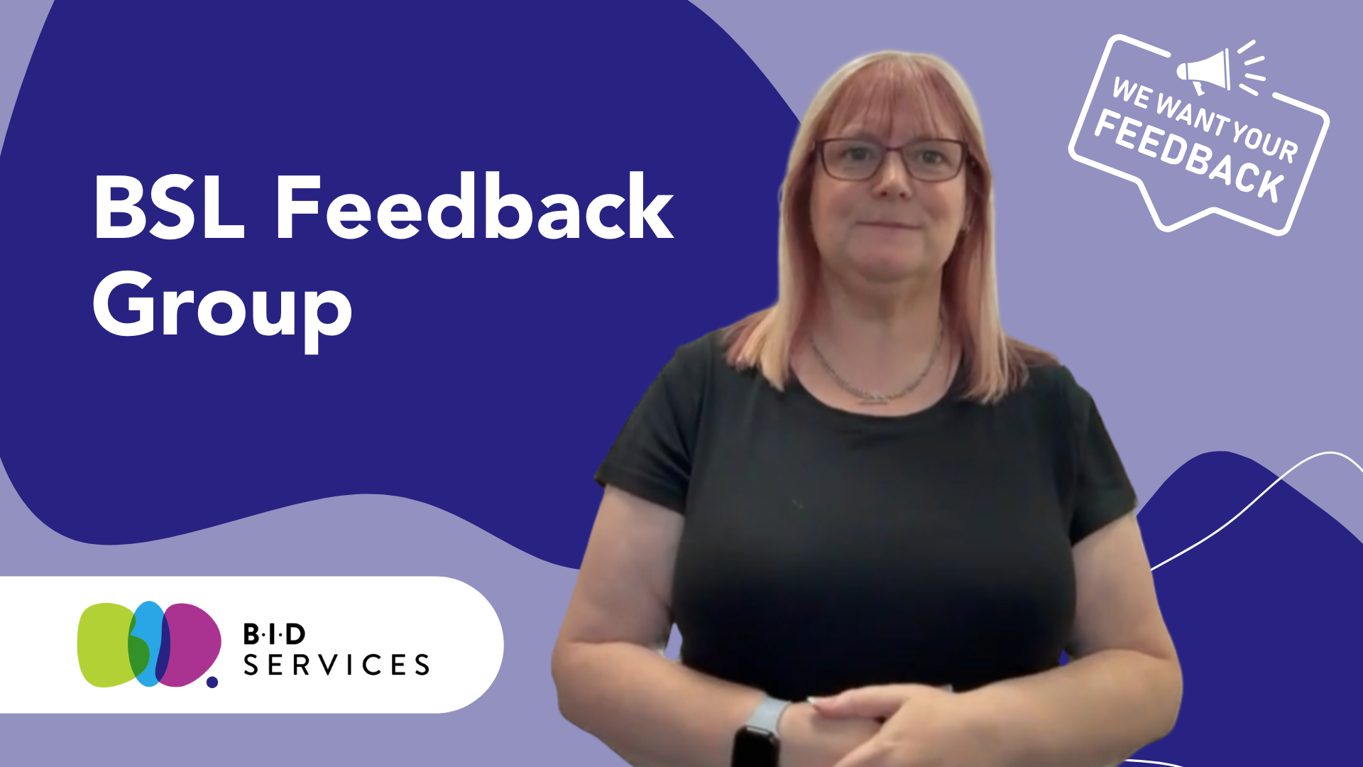 BSL Feedback Group