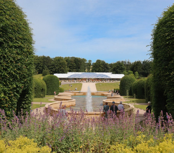 In the foreground there are lavender bushes with a fountain lined with green hedges. In the distance, there is a wide single story building which appears to have solar panels for roofs.